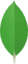 mogodb image